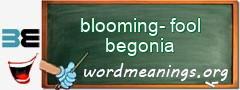 WordMeaning blackboard for blooming-fool begonia